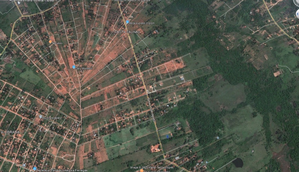 Evolución 2010: Comprar Antes que Todos